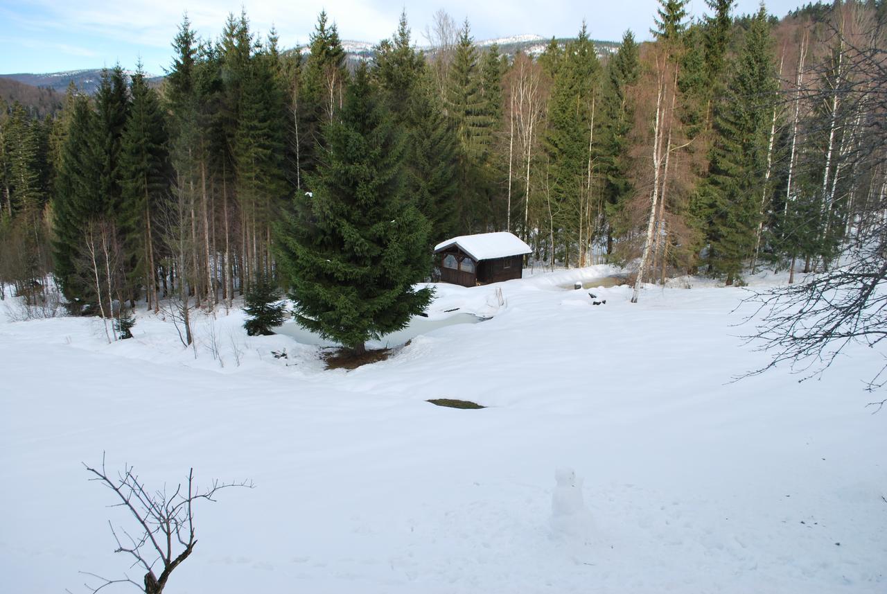 Ferienhaus "Lisa'S Haeusl" Neuschoenau Exterior photo