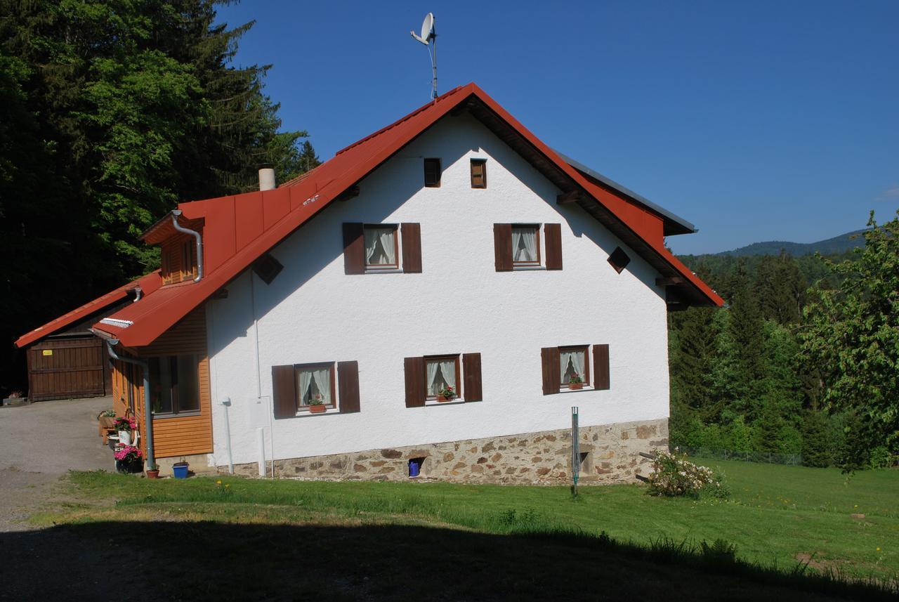 Ferienhaus "Lisa'S Haeusl" Neuschoenau Exterior photo