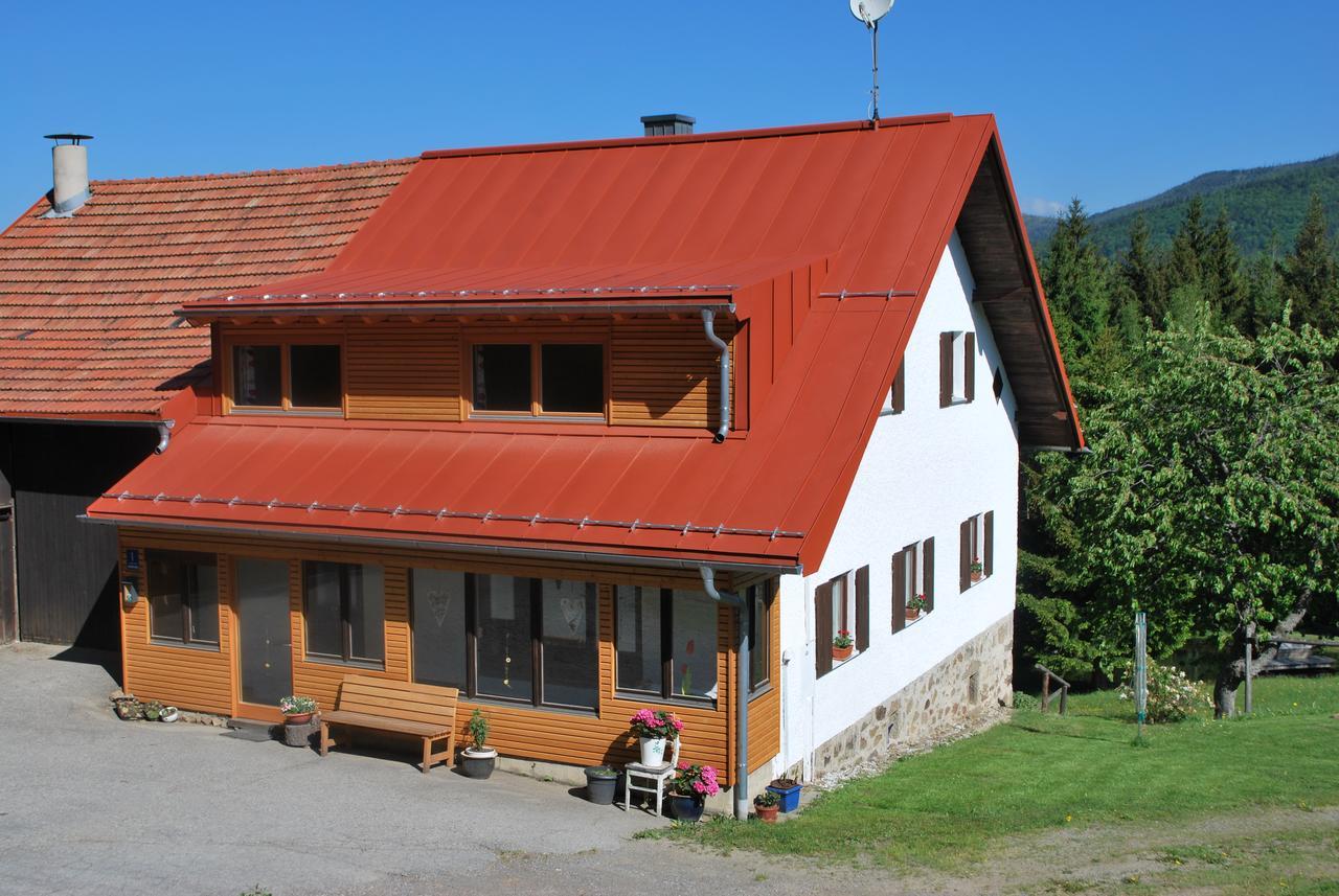 Ferienhaus "Lisa'S Haeusl" Neuschoenau Exterior photo